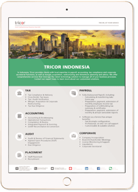 indonesia-services-overview